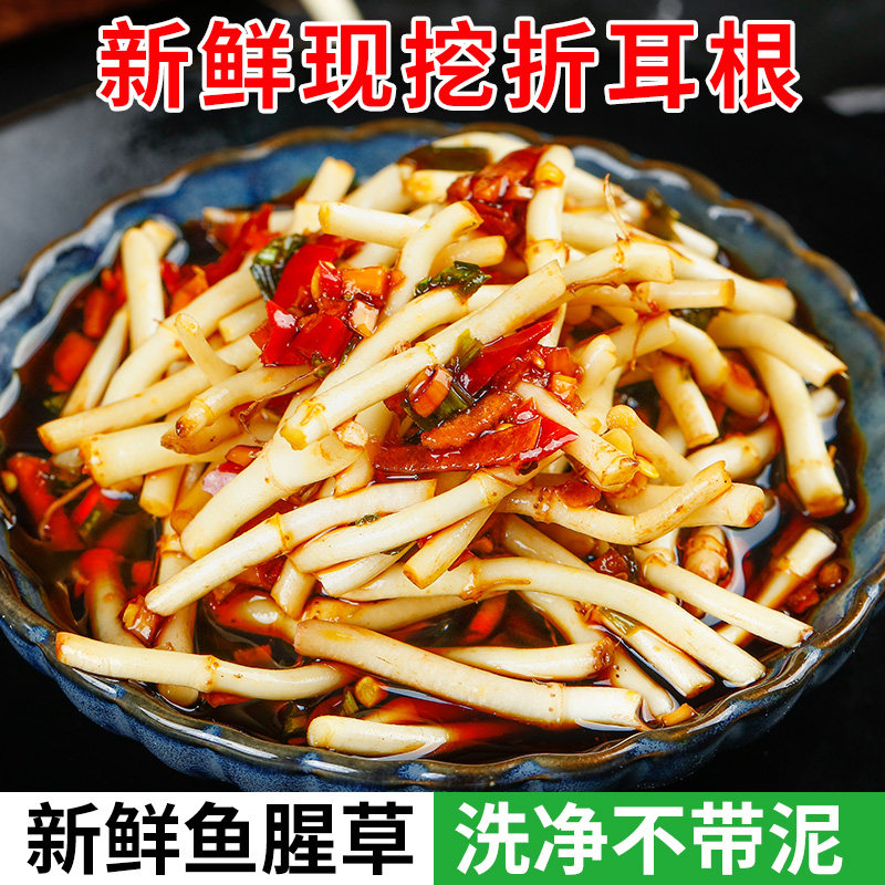 现挖新鲜鱼腥草折耳根嫩芽火锅