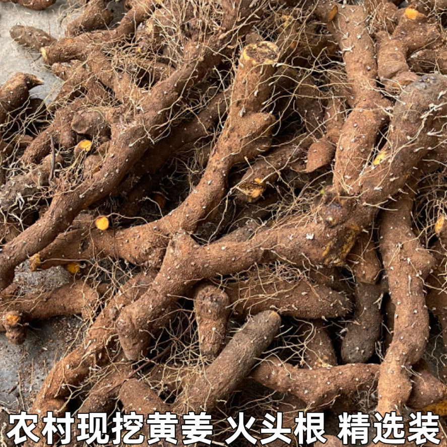 农村土特产野黄姜火藤根黄姜种盾叶薯蓣新鲜生火头根3斤装