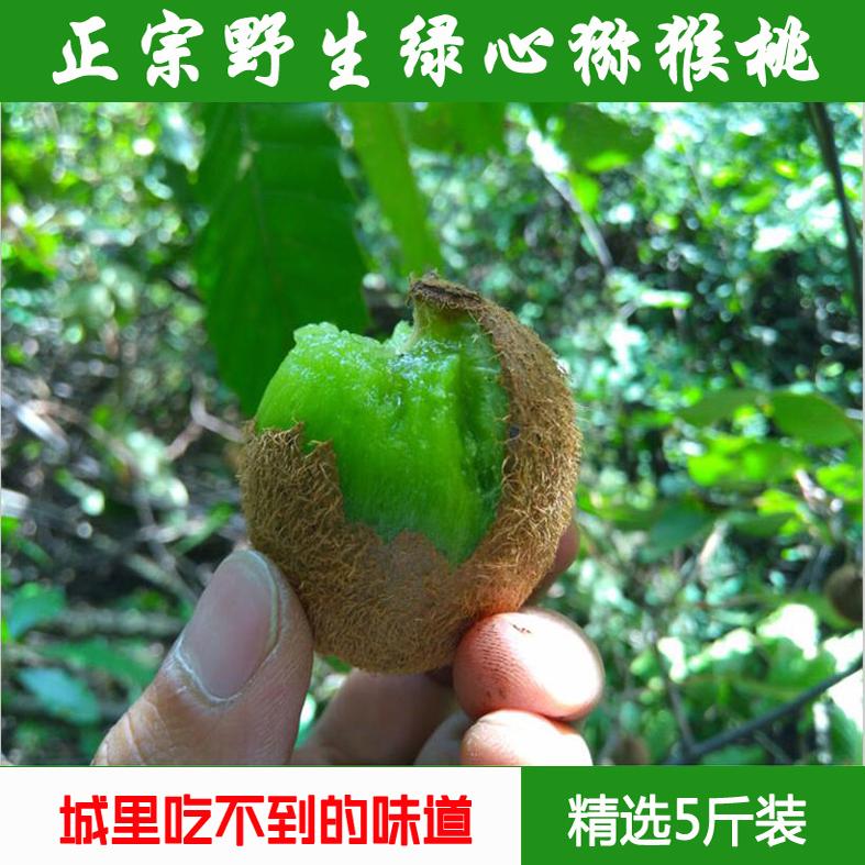 猕猴桃新鲜包邮深山小猕猴桃弥猴孕妇应季水果泡酒猕猴桃