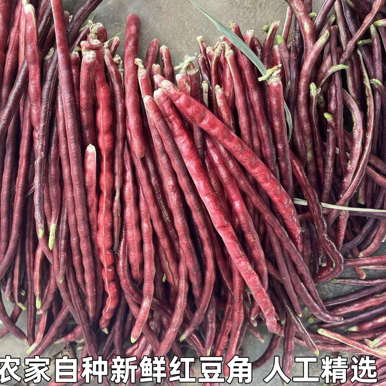 特产新鲜蔬菜农家自种湖北