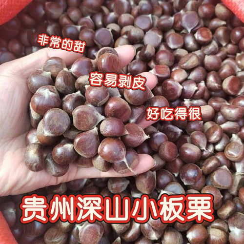 贵州特产农家新鲜小毛栗板栗生栗子香甜可口