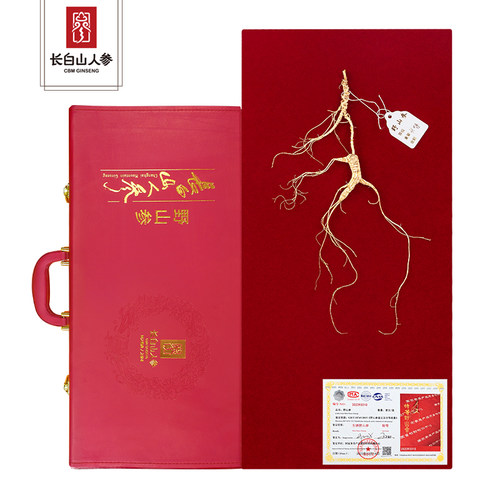 【镇店之宝】长白山人参特等野山参野外生长1参仅有1库存（孤品）