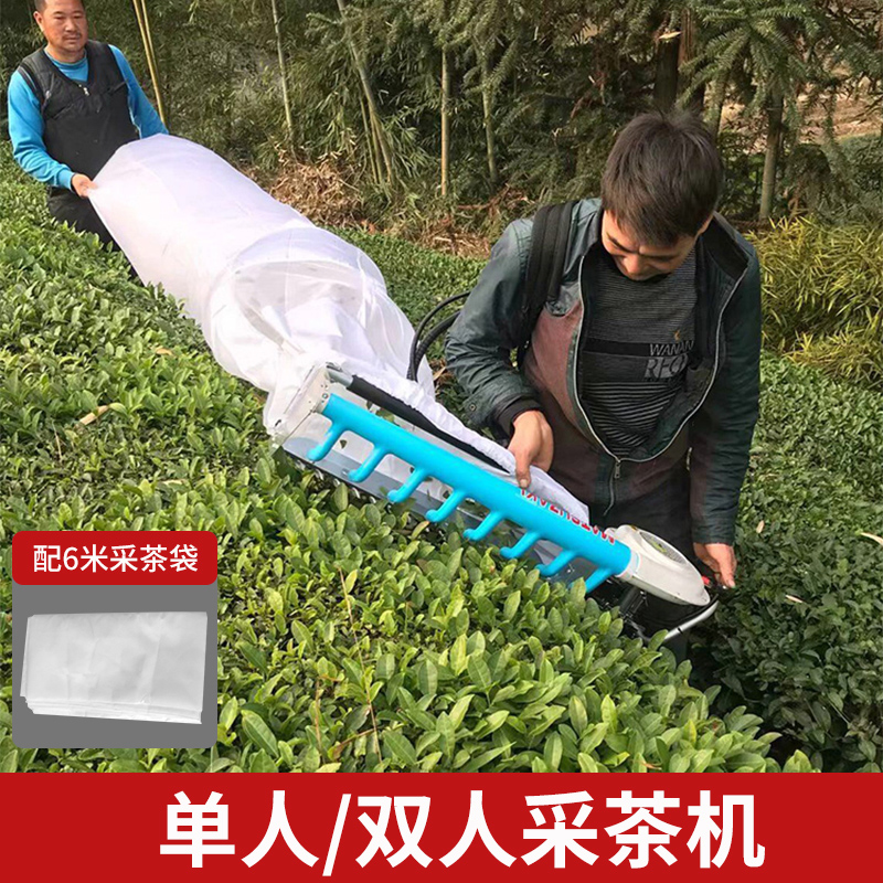 澜墨汽油单人双人采茶机绿篱机