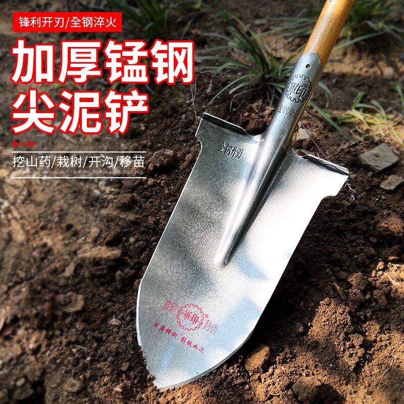 军印钢锹铁锨尖铲锰钢加厚木柄铁锹农用挖土户外窄铲子挖树专用锹图片