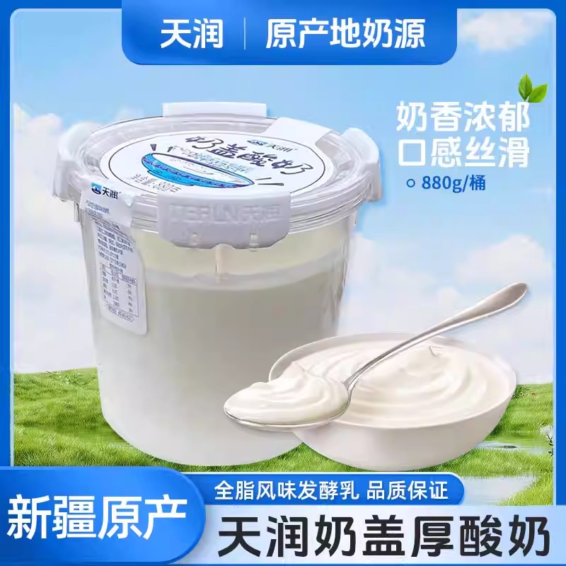 天润酸奶新疆天润奶盖酸奶圆桶装低温酸奶全脂发酵乳800g*2桶装