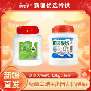 新疆天润盖瑞酸奶大桶装1.2kg水果捞网红原味浓缩风味老酸奶包邮