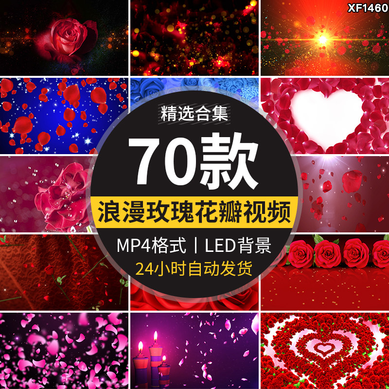 唯美玫瑰花瓣浪漫婚礼情人节表白求婚舞台LED大屏幕背景视频素材
