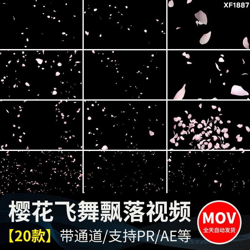 唯美浪漫粉红樱花瓣纷飞飘散飘落元素特效MOV带透明通道视频素材