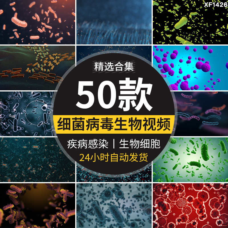 病毒细菌病菌感染细胞微生物医学传染疾病传播寄生虫高清视频素材