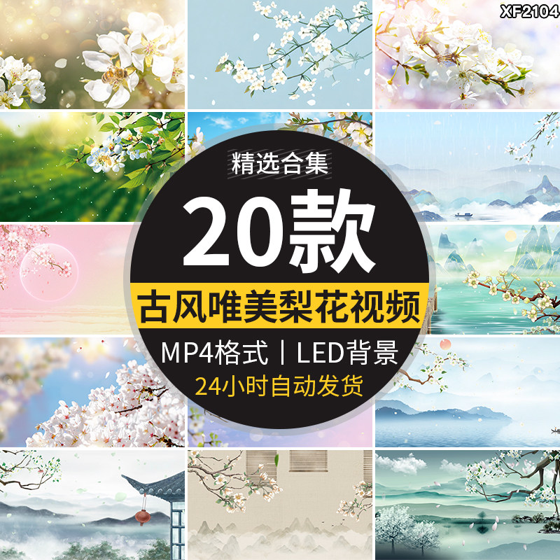 春天唯美梨树梨花瓣飘落中国风水墨古风古典LED舞台背景视频素材