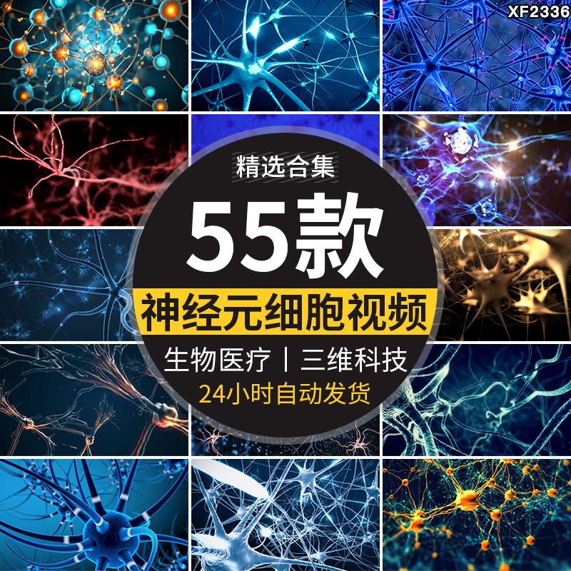 三维神经元细胞网络结构电脉冲生物科技医疗医学动画背景视频素材