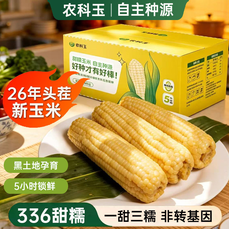 农科玉五常甜糯玉米东北糯玉米真空包装软糯香甜粗粮轻食代餐苞米