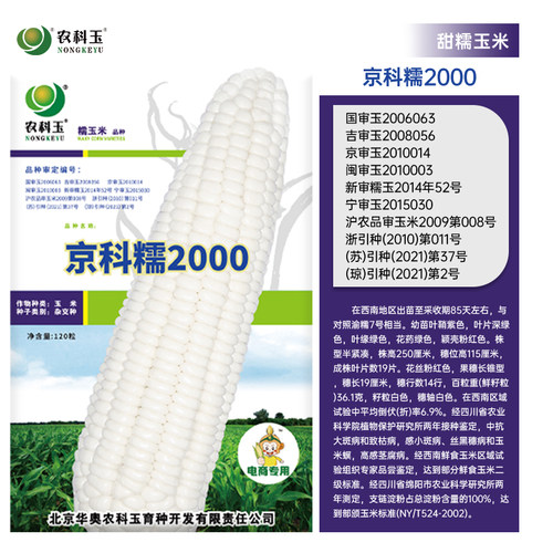 农科院研发京科糯2000糯玉米种子