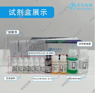 增强型 六标七色多重荧光染色试剂盒