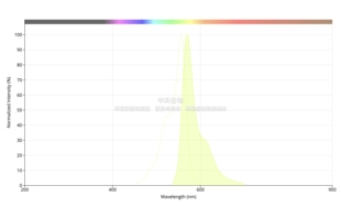 探针 美国AAT WGA iFluor 用于细胞膜表面标记 555小麦胚芽凝集素