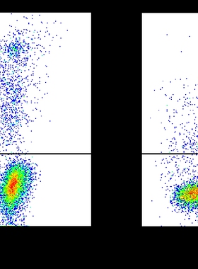 Elabscience碘化丙啶(PI)染色液E-CK-A161鉴定凋亡和坏死细胞试剂