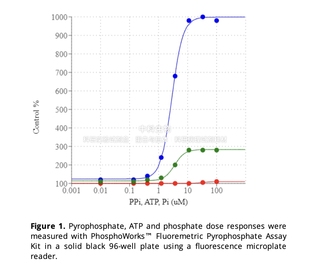 检测焦磷酸 AAT PhosphoWorks 荧光法焦磷酸检测试剂盒 蓝色荧光
