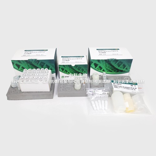 核/膜蛋白酵母双杂交建库试剂盒,核体系/膜体系,获得全长cDNA文库