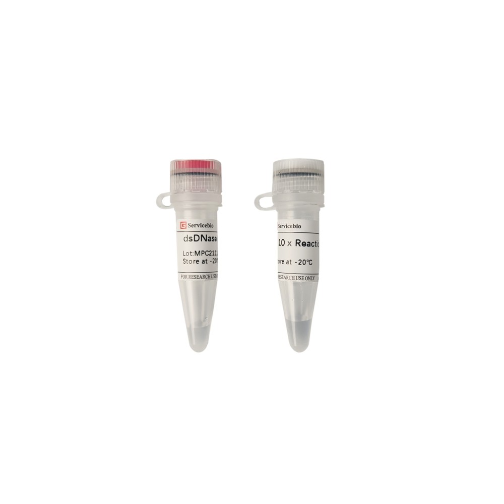 servicebio  双链dna酶(热敏感),dsdnase (thermolabile),50μl
