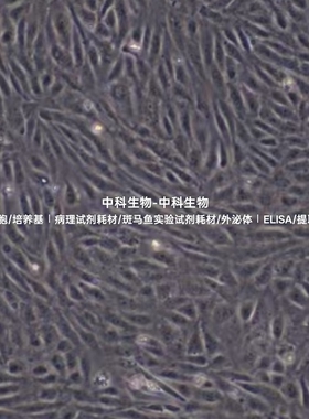 人主动脉内皮细胞HAEC,TeloHAEC永生化细胞STR鉴定正确完全培养基