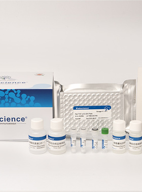 Elabscience MS-小鼠白介素12(IL-12)酶联免疫吸附测定试剂盒 96T