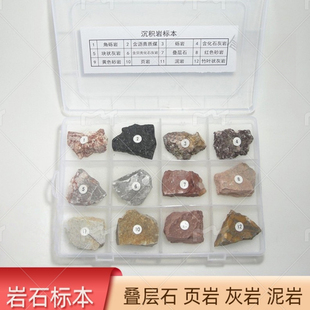 泥岩沉积岩标本套装12种不同典型岩石石头教学叠层石页岩圣诞节