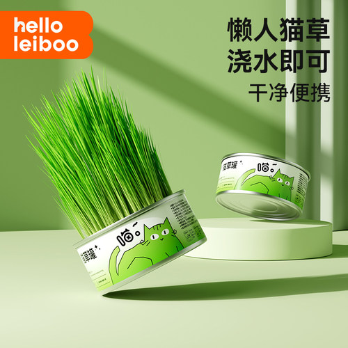 猫草盆栽水培盆懒人猫草去化毛球