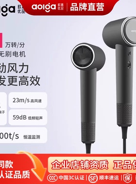 Aolga欧嘉优品高速吹风机DF21家用速干大风力恒温护发电吹风筒