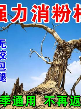 强力i烂i大树根竹子杂草专用粉粉剂枯i树王根剂处草神器灌木杂树