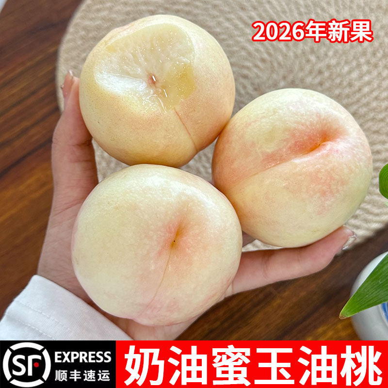 山东蜜玉白油桃新鲜水果当季整箱奶油白桃脆桃孕妇水果蒙阴粉桃子