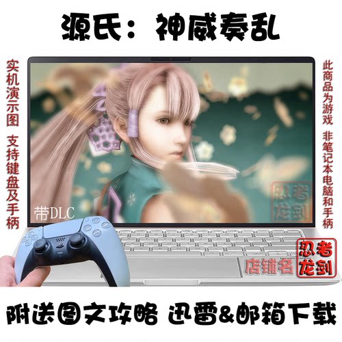 源氏：神威奏乱中文PC游戏下载