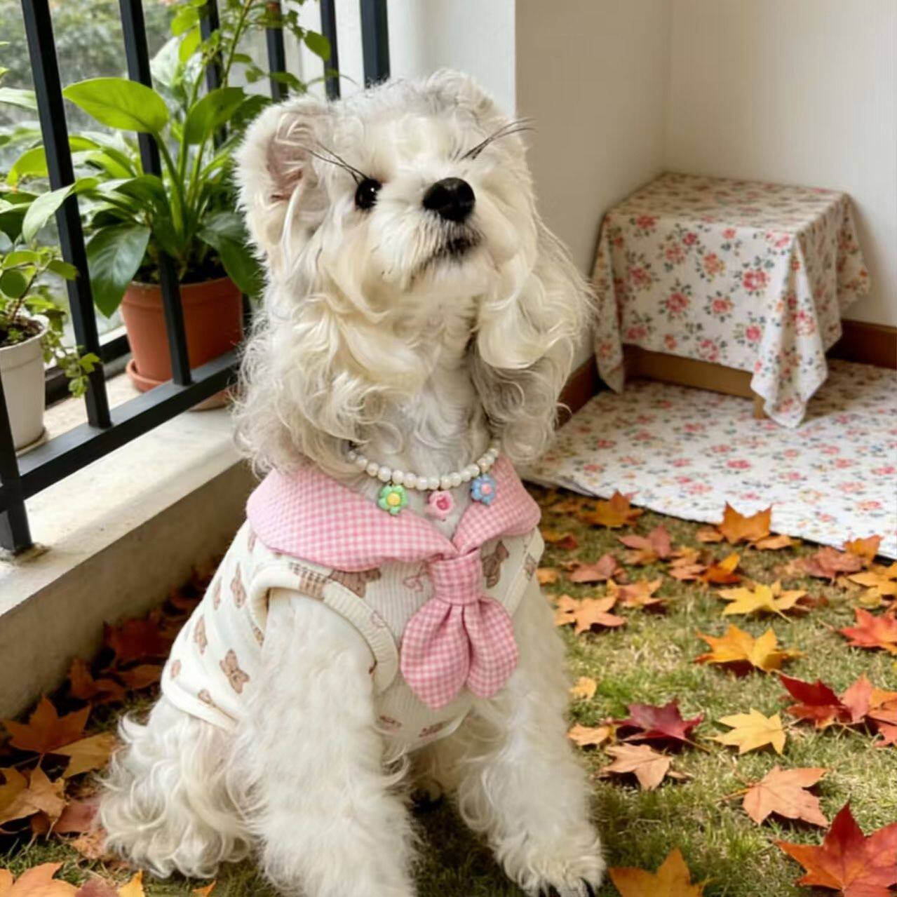 宠物狗狗背心猫咪家居服可爱公主风领结公主风小背心春秋款衣服