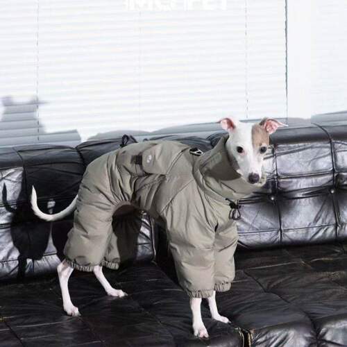 新品中型犬灵提惠比特高领棉衣宠物狗狗秋冬衣服保暖防风生态棉服