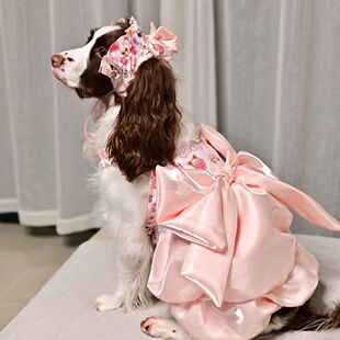 中大型狗衣服特大夏季薄款夏装裙大狗萨摩耶金毛阿拉斯加公主裙