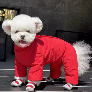 宠物衣服秋冬款防寒狗狗棉衣小型犬泰迪比熊约夏克雪瑞纳女宝护肚