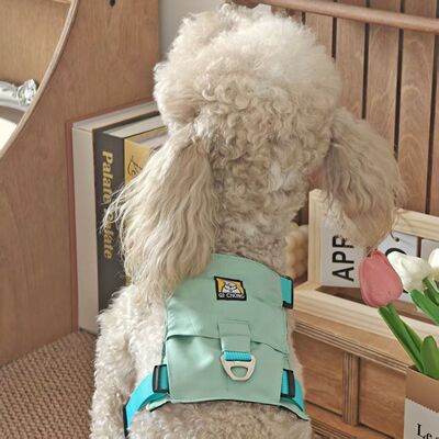 夏季轻薄猫狗胸背牵引嗨轻胸背平替防挣脱舒适轻量出门神器宠物