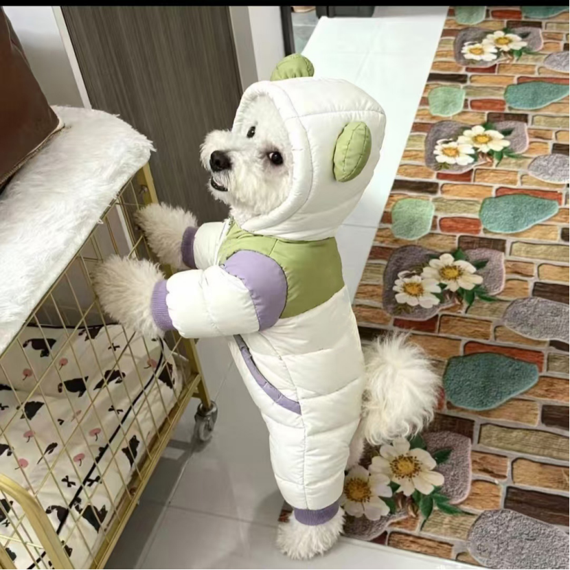 新品小狗衣服秋冬款保暖四脚棉服洋气比熊泰迪外出可保暖不掉毛,宠物/宠物食品及用品,狗宠物服装/雨衣,淘宝优惠券,粉丝福利购,淘宝优惠卷