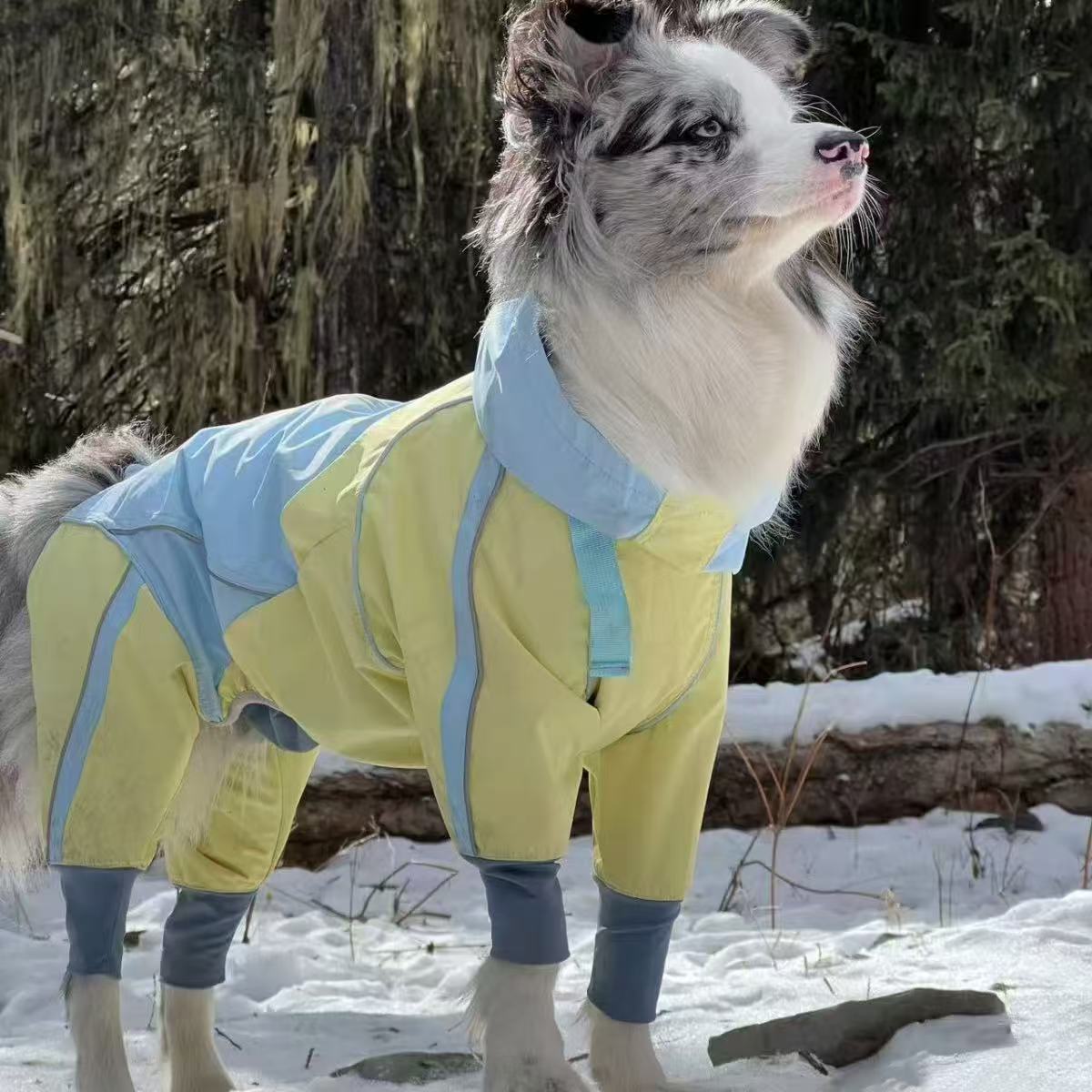 宠物猫咪狗狗秋冬新款衣服防风保暖边牧萨摩耶宠物冲锋衣户外四脚