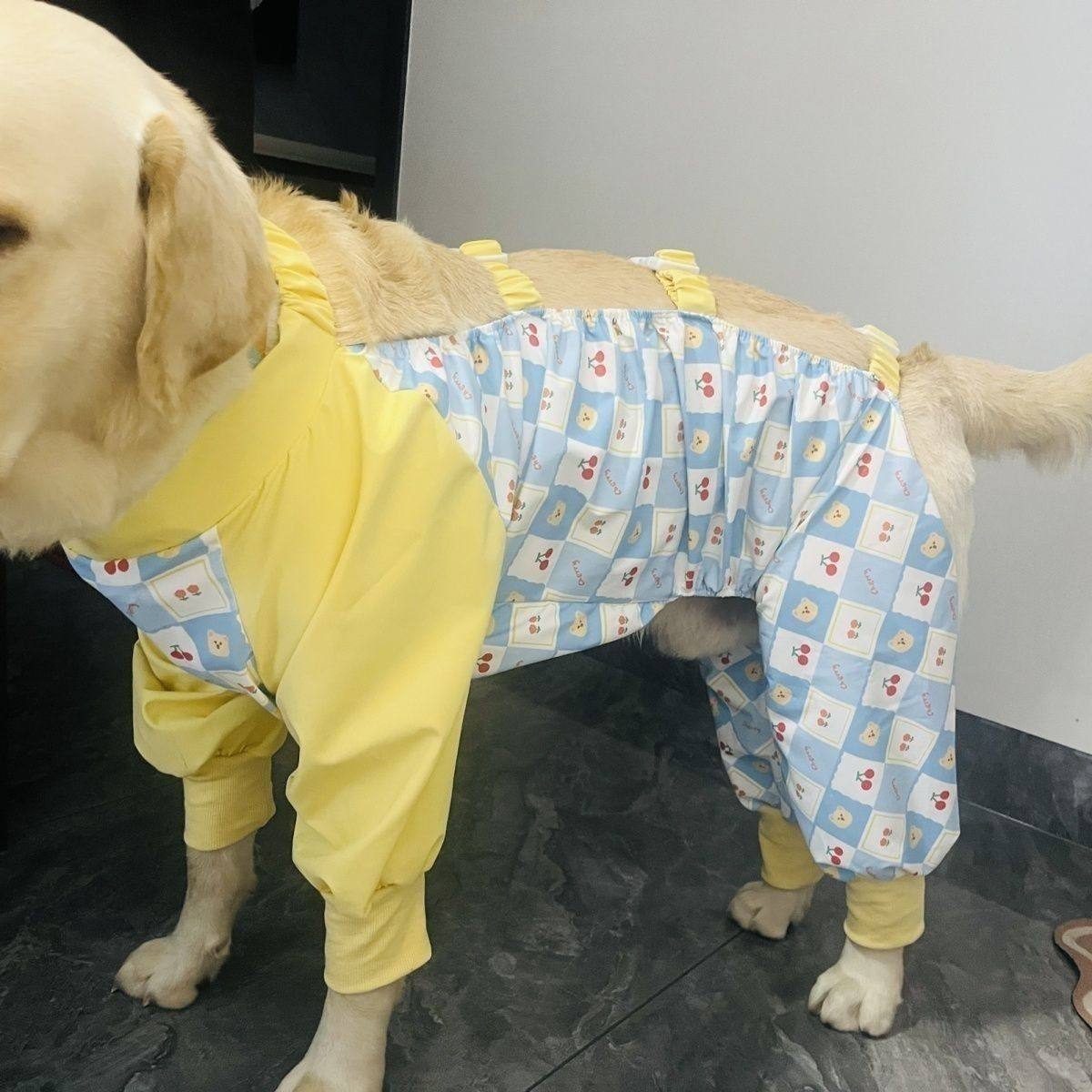 四脚防尘裤狗狗防虫衣服外出遛弯四角狗衣服宠物防护薄款护腿服,宠物/宠物食品及用品,狗宠物服装/雨衣,淘宝优惠券,粉丝福利购,淘宝优惠卷