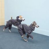 25年中型犬灵提惠比特高领棉衣宠物狗狗秋冬衣服保暖防风生态棉服