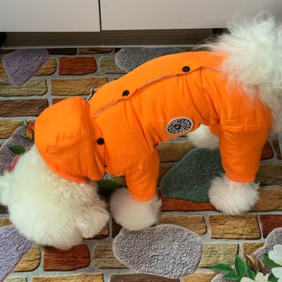 新款包肚四脚棉服狗狗冬装加厚保暖棉大衣泰迪比熊中小型宠物衣服