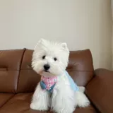 Регулируемый двусторонний слюнявчик, шарф, нагрудник, аксессуар