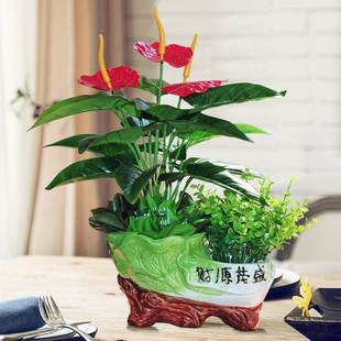 仿真绿植物盆栽塑料仿真花假花摆设家居客厅电视柜茶几装 饰品摆件