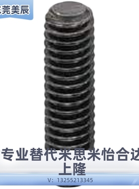 MSSFS/FSSFS2/3/4/5/6/8/1012-12345750内六角全长指定平头型