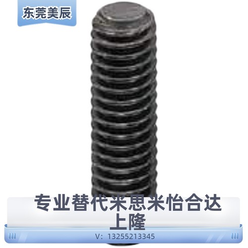 MSSFS/FSSFS2/3/4/5/6/8/1012-12345750内六角全长指定平头型