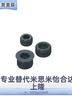 沉头螺塞 MSWT/MSWTK-J/S/1/2/3/4/5/6/8