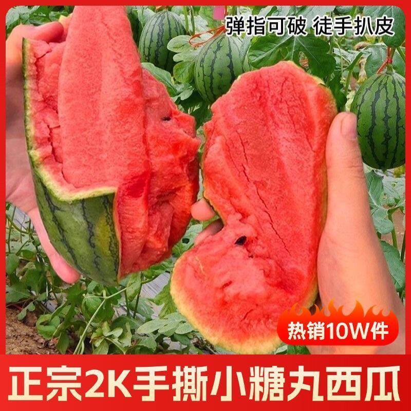 正宗2K糖丸小西瓜应当季手撕薄皮红心爆汁冰淇淋口感当季鲜果砀山