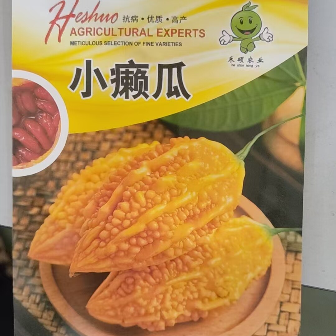 金铃子赖葡萄金癞瓜种子种籽苗四季金玲子秧苦瓜幼苗蔬菜孑癞秧苗