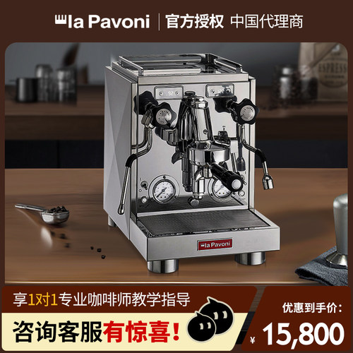 lapavoni意式咖啡机E61旋转泵