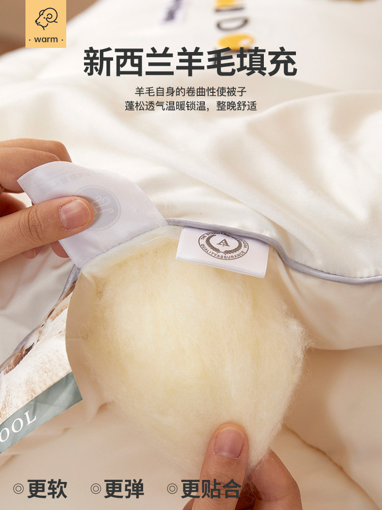 순수 양모 이불 겨울 이불 두꺼워진 따뜻한 이불 코어 진드기 방지 항균 이불 캐시미어 봄과 가을 이불 8파운드 10파운드 12